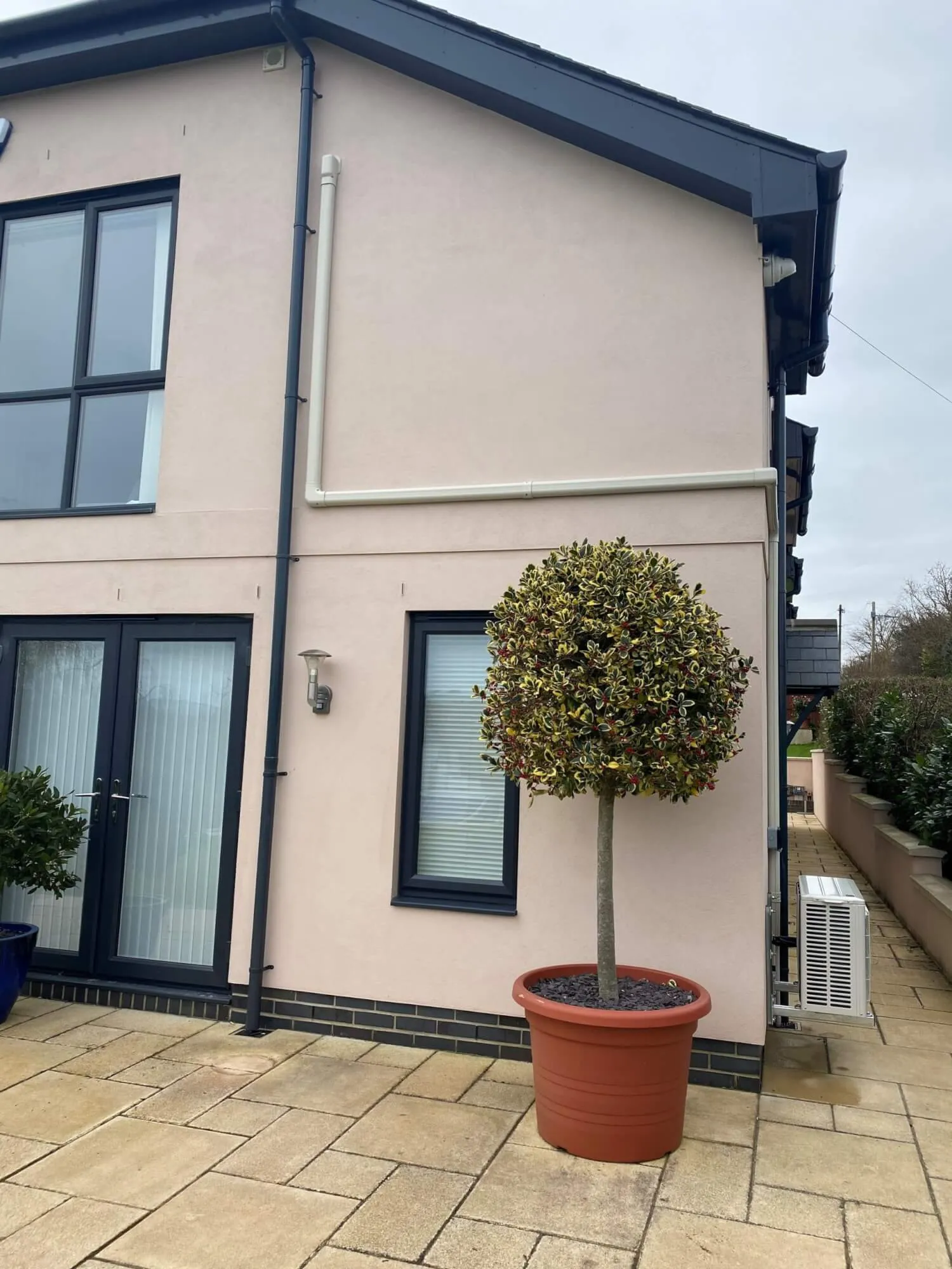 A house with a potted tree in front of it.